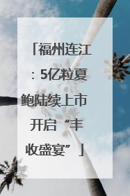 福州连江：5亿粒夏鲍陆续上市 开启“丰收盛宴”