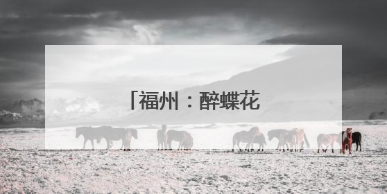福州：醉蝶花盛开引游人