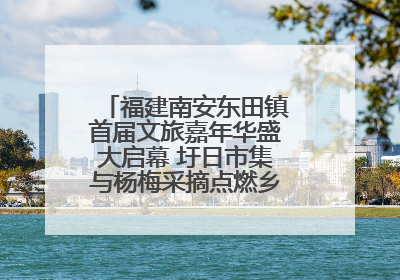 福建南安东田镇首届文旅嘉年华盛大启幕 圩日市集与杨梅采摘点燃乡村振兴新动能
