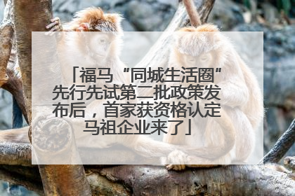 福马“同城生活圈”先行先试第二批政策发布后，首家获资格认定马祖企业来了
