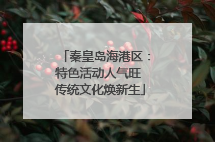 秦皇岛海港区：特色活动人气旺 传统文化焕新生