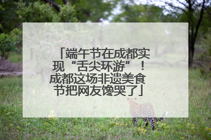 端午节在成都实现“舌尖环游”！成都这场非遗美食节把网友馋哭了
