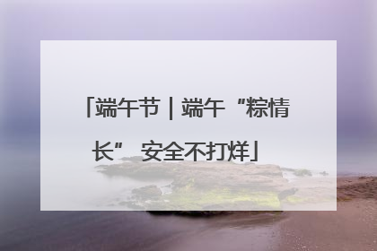 端午节｜端午“粽情长” 安全不打烊