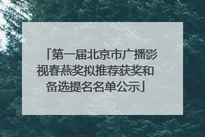 第一届北京市广播影视春燕奖拟推荐获奖和备选提名名单公示