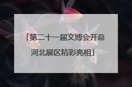 第二十一届文博会开幕 河北展区精彩亮相