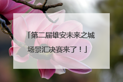 第二届雄安未来之城场景汇决赛来了！