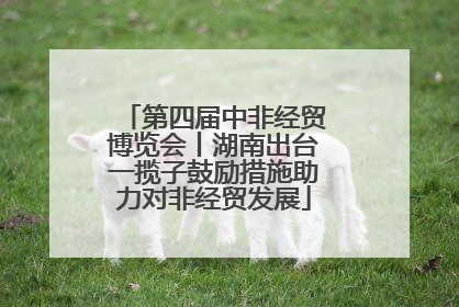 第四届中非经贸博览会丨湖南出台一揽子鼓励措施助力对非经贸发展
