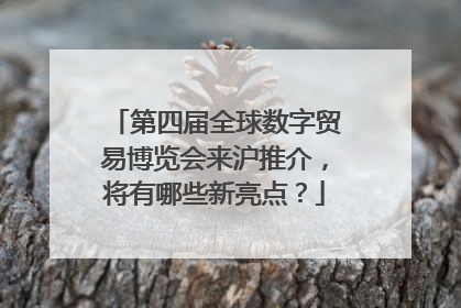 第四届全球数字贸易博览会来沪推介，将有哪些新亮点？