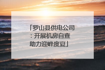 罗山县供电公司：开展机房自查 助力迎峰度夏