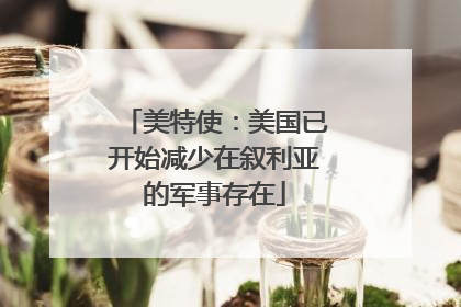 美特使：美国已开始减少在叙利亚的军事存在