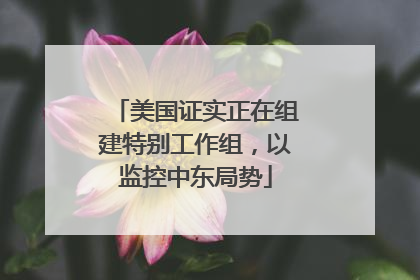 美国证实正在组建特别工作组，以监控中东局势