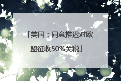 美国：同意推迟对欧盟征收50%关税