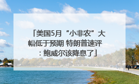 美国5月“小非农”大幅低于预期 特朗普速评：鲍威尔该降息了