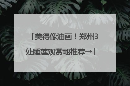 美得像油画！郑州3处睡莲观赏地推荐→