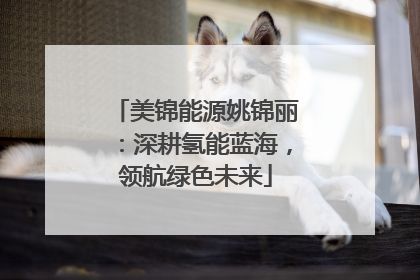 美锦能源姚锦丽：深耕氢能蓝海，领航绿色未来