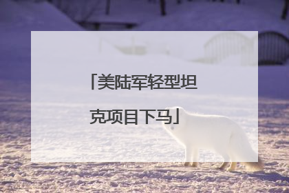 美陆军轻型坦克项目下马