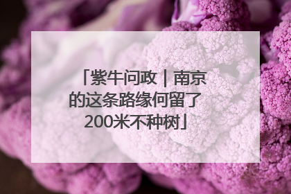 紫牛问政｜南京的这条路缘何留了200米不种树