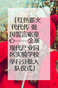 红色薪火代代传 强国誓言砺童心——金寨现代产业园区实验学校举行分批入队仪式
