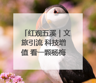 红观五溪｜文旅引流 科技增值 看一颗杨梅在靖州的“商业觉醒”