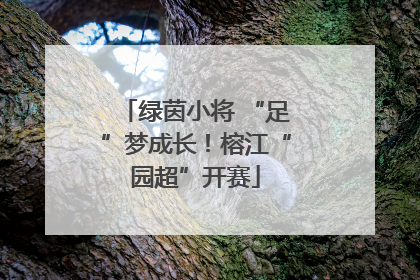绿茵小将 “足”梦成长！榕江“园超”开赛