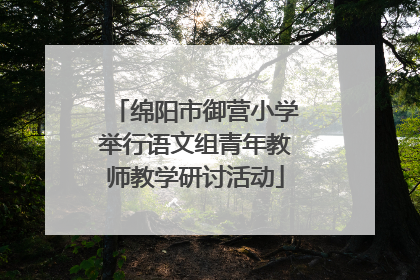 绵阳市御营小学举行语文组青年教师教学研讨活动