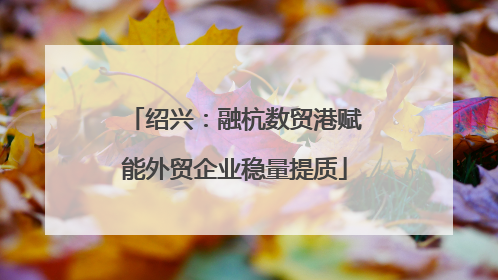 绍兴：融杭数贸港赋能外贸企业稳量提质