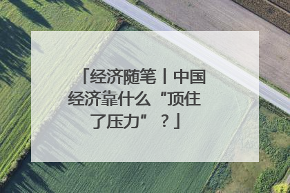 经济随笔丨中国经济靠什么“顶住了压力”？