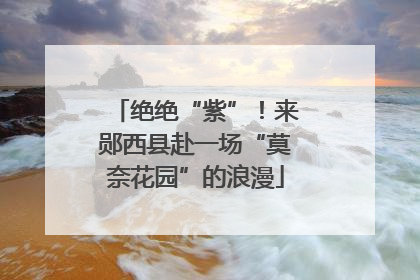 绝绝“紫”！来郧西县赴一场“莫奈花园”的浪漫