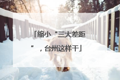 缩小“三大差距”，台州这样干