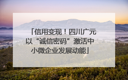 信用变现！四川广元以“诚信密码”激活中小微企业发展动能