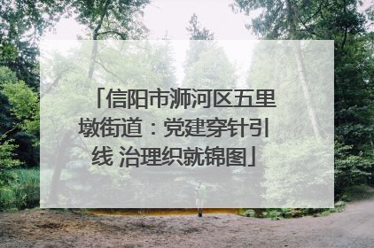 信阳市浉河区五里墩街道：党建穿针引线 治理织就锦图