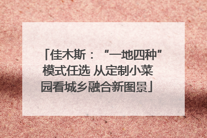 佳木斯：“一地四种” 模式任选 从定制小菜园看城乡融合新图景