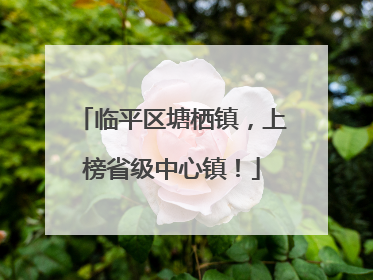 临平区塘栖镇，上榜省级中心镇！