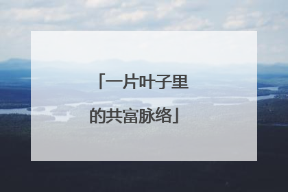 一片叶子里的共富脉络