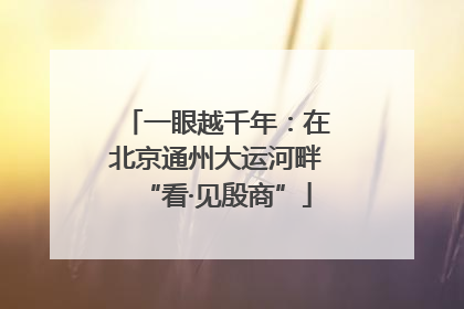 一眼越千年：在北京通州大运河畔“看·见殷商”