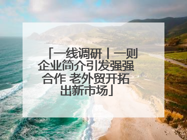 一线调研丨一则企业简介引发强强合作 老外贸开拓出新市场