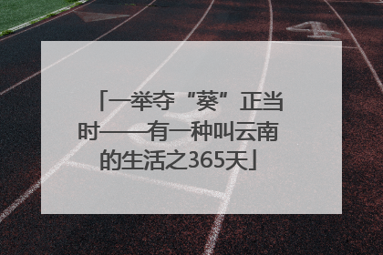 一举夺“葵”正当时——有一种叫云南的生活之365天