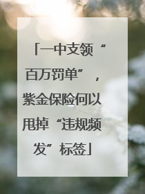 一中支领“百万罚单”，紫金保险何以甩掉“违规频发”标签