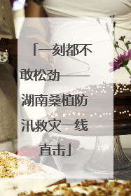 一刻都不敢松劲——湖南桑植防汛救灾一线直击