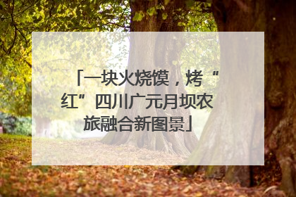 一块火烧馍，烤“红”四川广元月坝农旅融合新图景