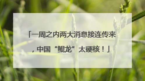 一周之内两大消息接连传来，中国“鲲龙”太硬核！
