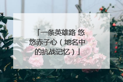 一条英雄路 悠悠赤子心（地名中的抗战记忆）