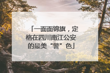 一面面锦旗，定格在四川南江公安的最美“警”色