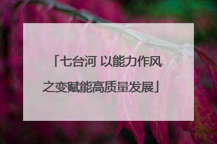 七台河 以能力作风之变赋能高质量发展
