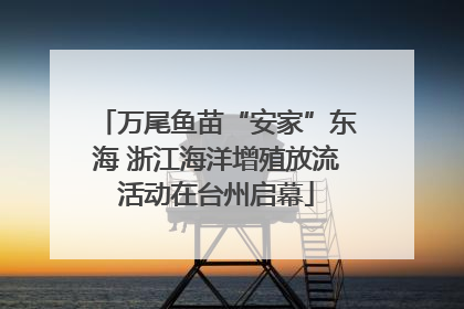 万尾鱼苗“安家”东海 浙江海洋增殖放流活动在台州启幕