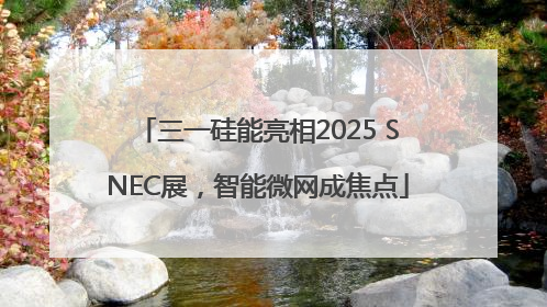 三一硅能亮相2025 SNEC展，智能微网成焦点