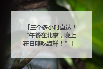 三个多小时直达！“午餐在北京，晚上在日照吃海鲜！”