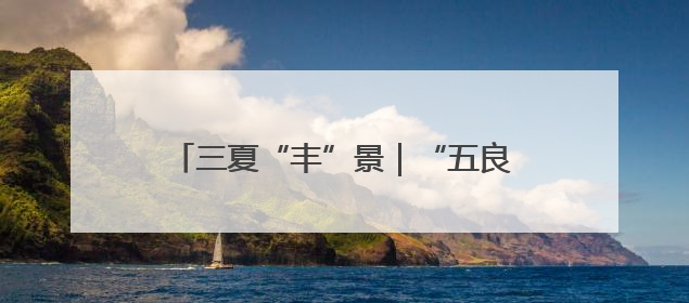 三夏“丰”景｜“五良”齐迎北京小麦收获日