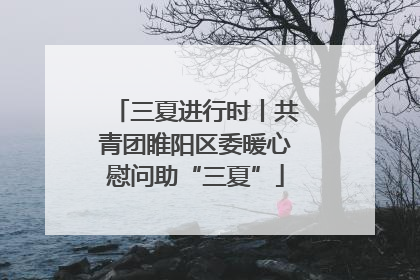 三夏进行时丨共青团睢阳区委暖心慰问助“三夏”
