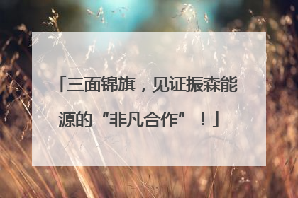 三面锦旗，见证振森能源的“非凡合作”！
